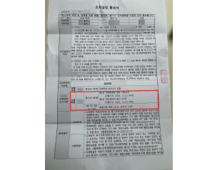 학교폭력 집단폭행·상습괴롭힘 신고, 3호 처분으로 마무리한 사례